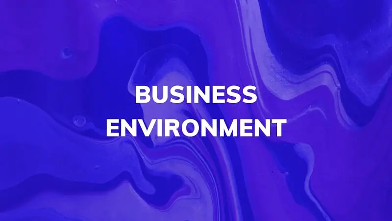 importance of business environment