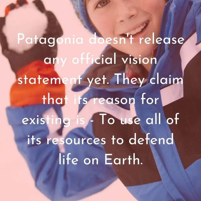 kort værtinde Jeg bærer tøj Explanation Of Patagonia Mission Statement And Vision Statement